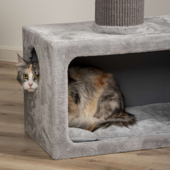 dobar Kratzbaum Cozy